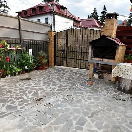 Casa Tudor 3* Buşteni
